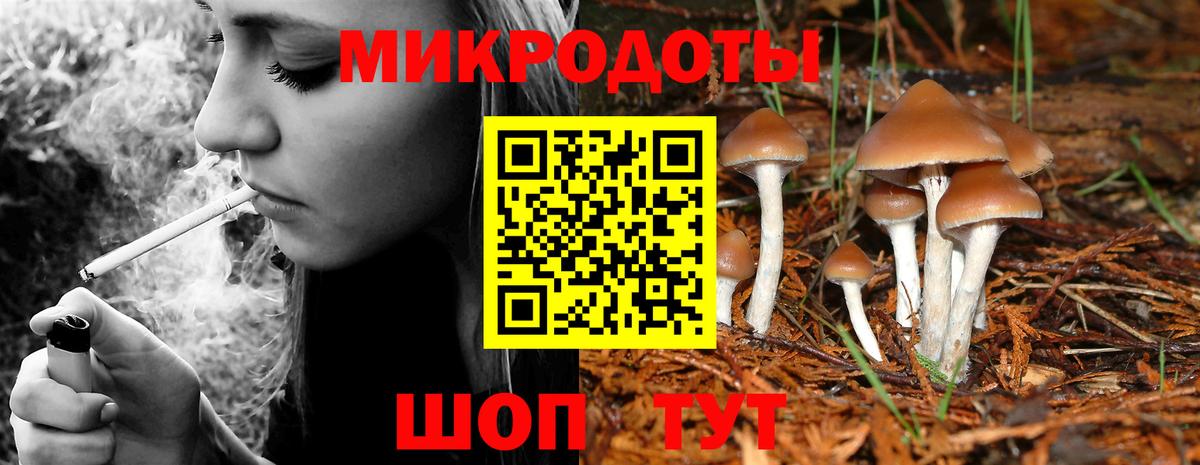Псилоцибиновые грибы GOLDEN TEACHER  Псилоцибиновые грибы Cubensis  Новозыбков  Вход с VPN 