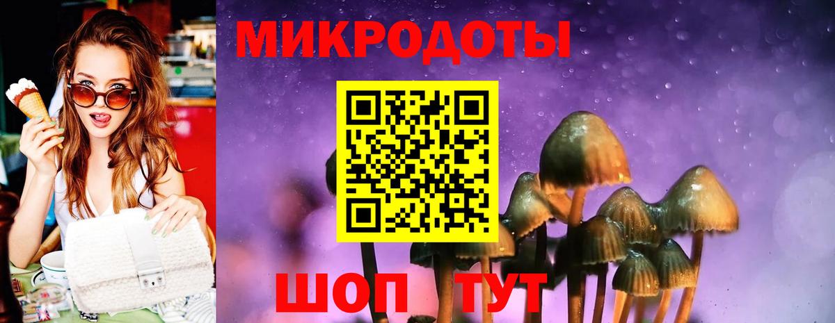 Галлюциногенные грибы ЛСД Новозыбков